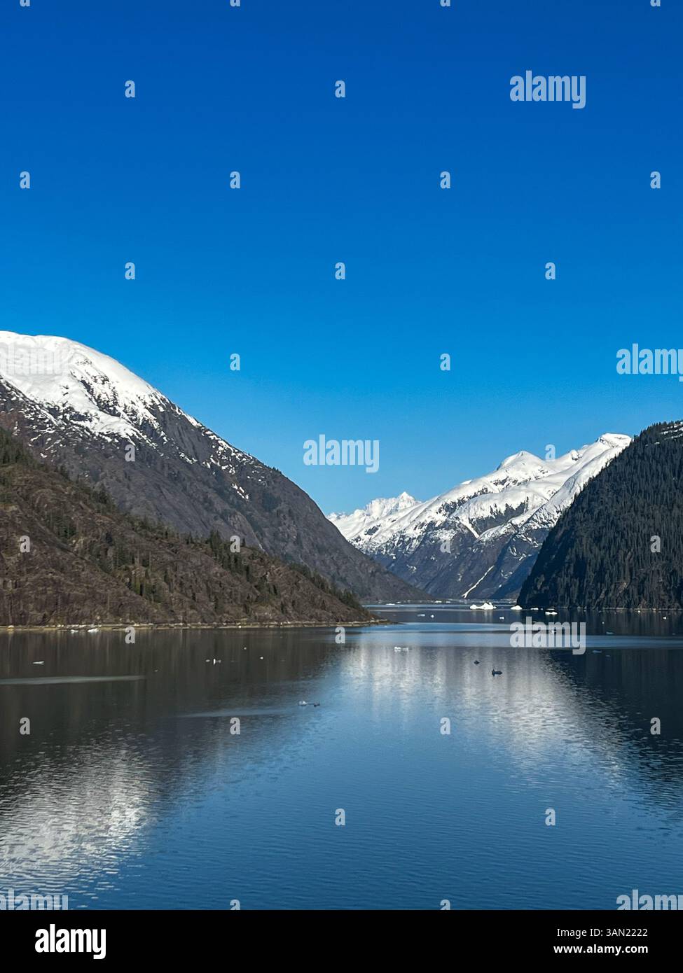 Una vista mozzafiato delle cime innevate che si specchiano nelle acque tranquille di un fiordo di ghiacciaio. La bellezza incontaminata della natura crea un ambiente tranquillo e maestoso - Immagine stock catturata con smartphone