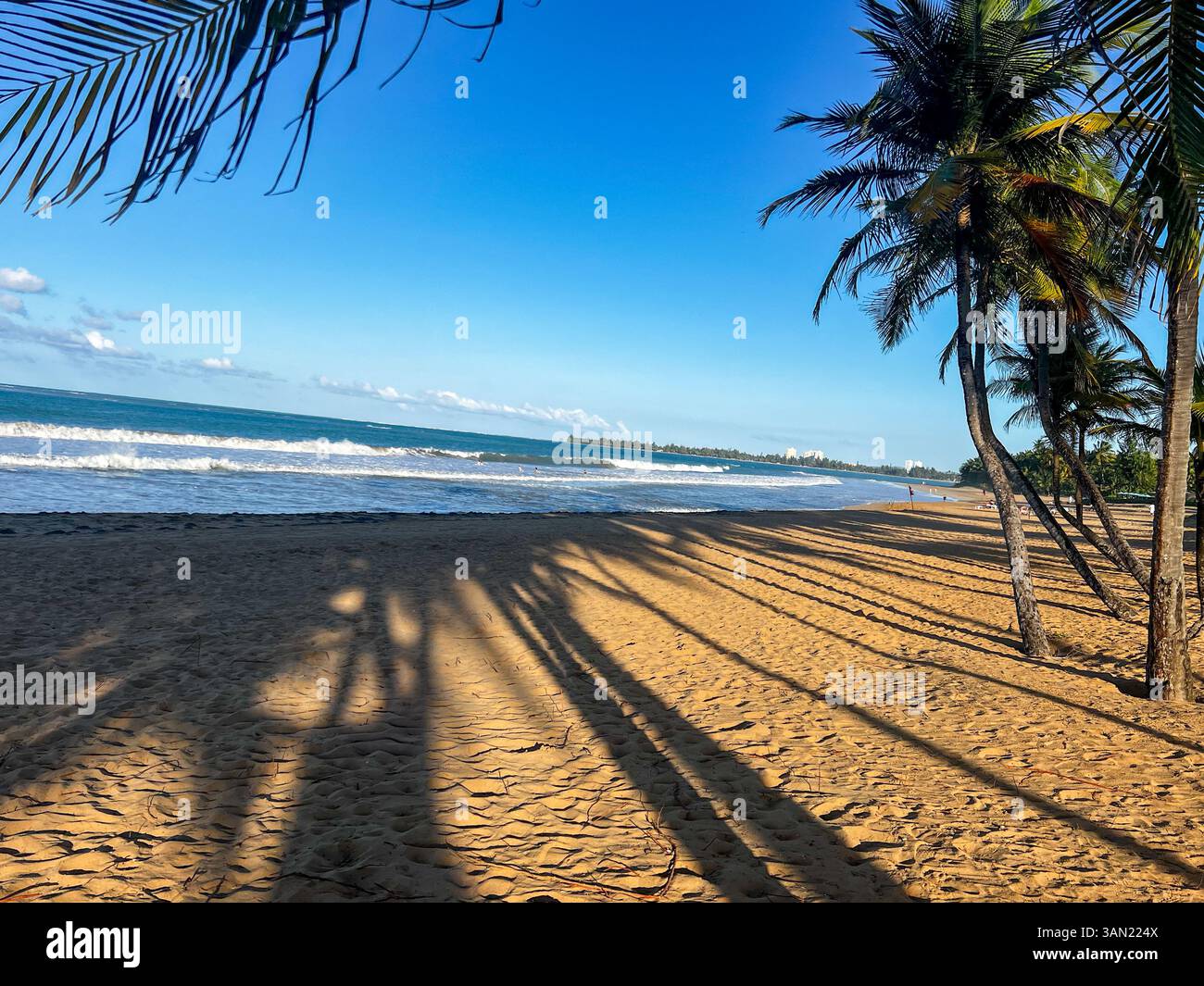 Alte palme gettano lunghe ombre sulla sabbia dorata mentre le onde si infrangono lungo la costa. Una perfetta fuga tropicale con cieli limpidi e un dolce - Immagine stock catturata con smartphone