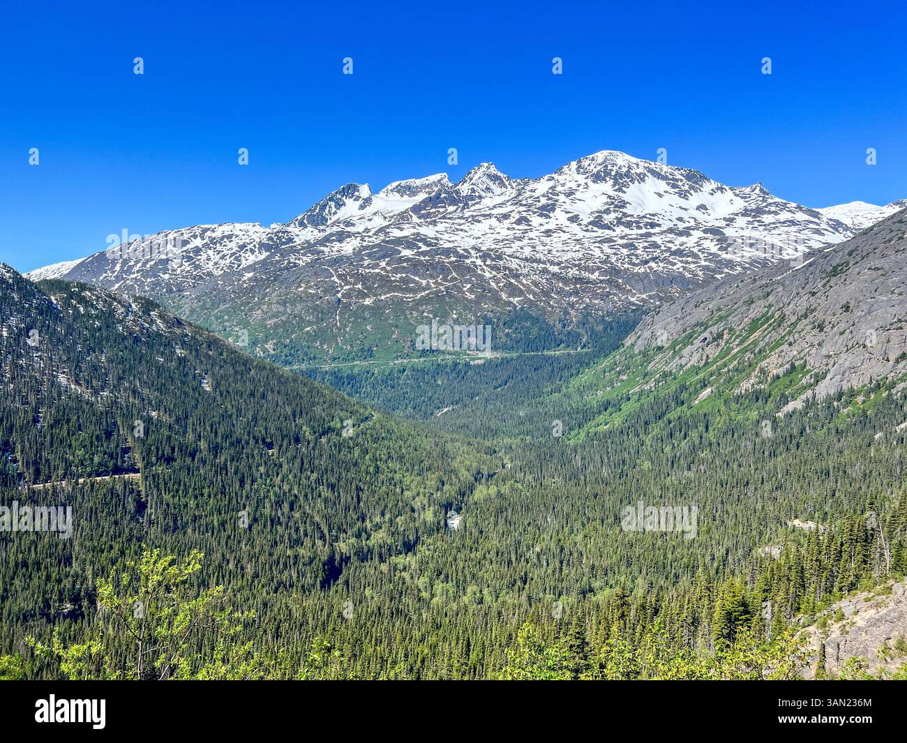 Una splendida vista della natura selvaggia dell'Alaska, dove le cime innevate si innalzano sopra vaste foreste sempreverdi. Il terreno accidentato e la bellezza incontaminata rendono questo - Immagine stock catturata con smartphone
