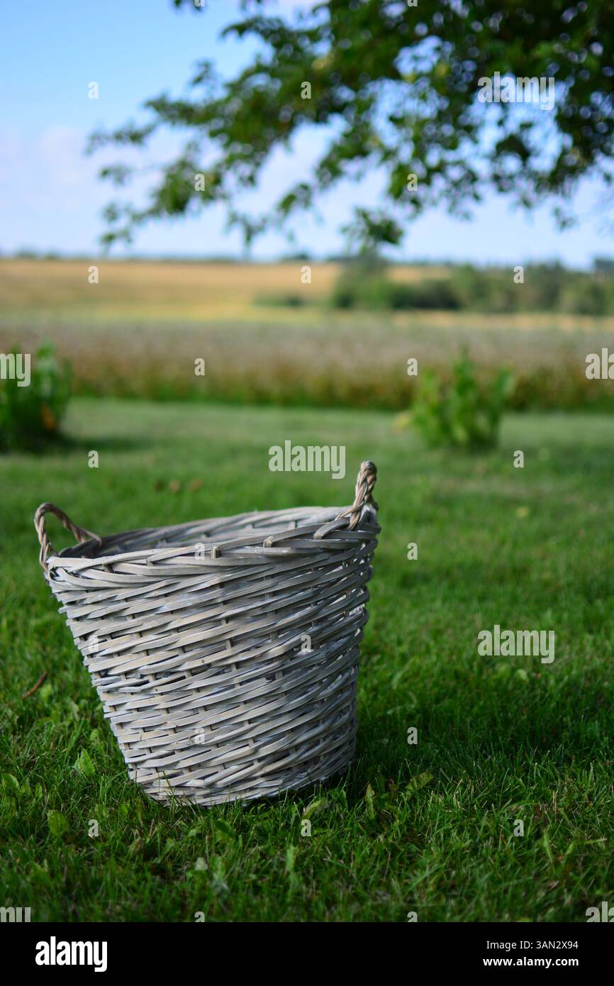 Vecchio cesto di colore grigio fatto di strisce intrecciate di canna sullo sfondo dei campi del villaggio Foto Stock