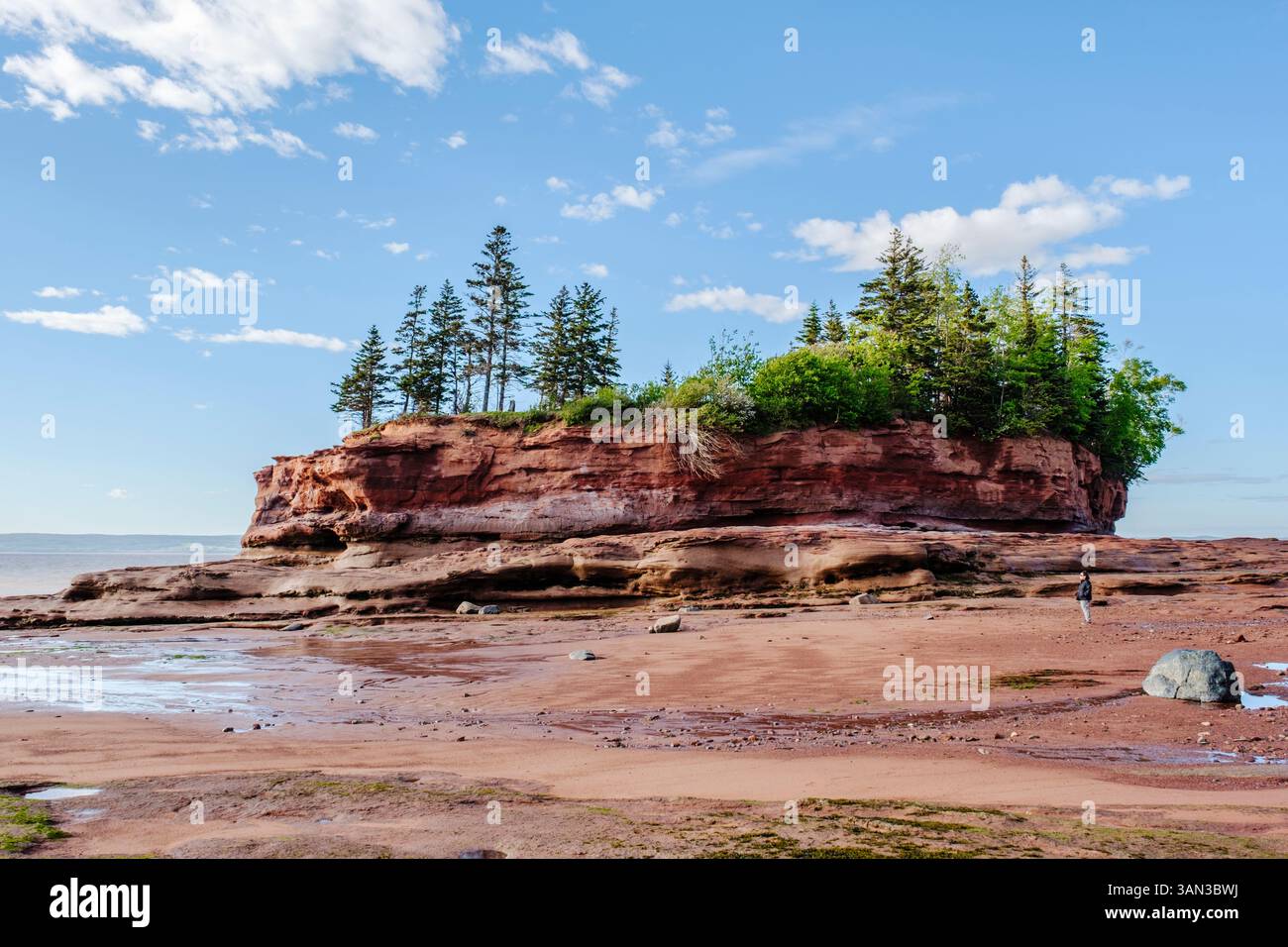 Burntcoat Head Park paesaggio oceanico, Bay of Fundy pianure fangose con bassa marea, nuova Scozia, Maritimes Canada Foto Stock