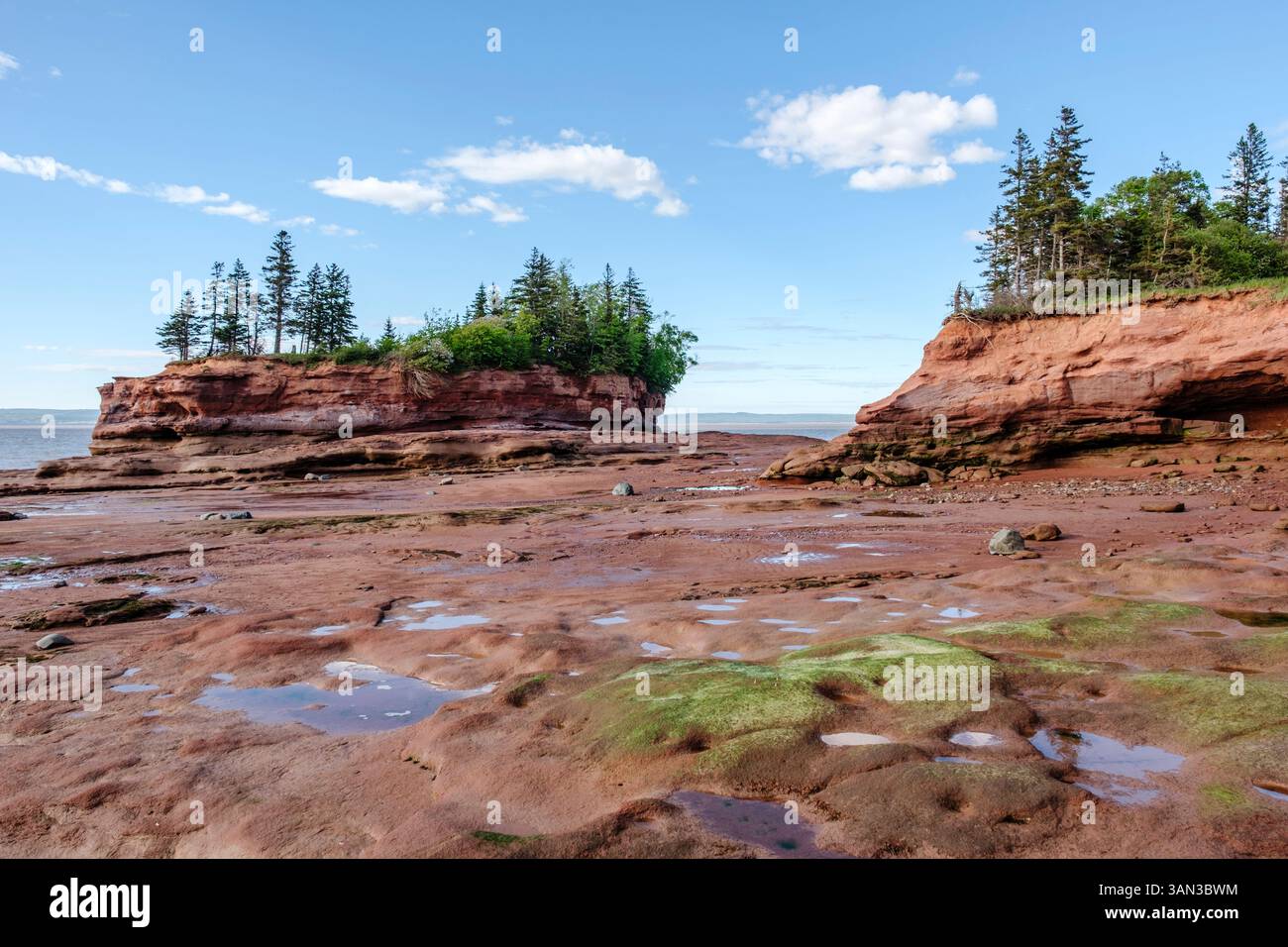 Burntcoat Head Park paesaggio oceanico, Bay of Fundy pianure fangose con bassa marea, nuova Scozia, Maritimes Canada Foto Stock