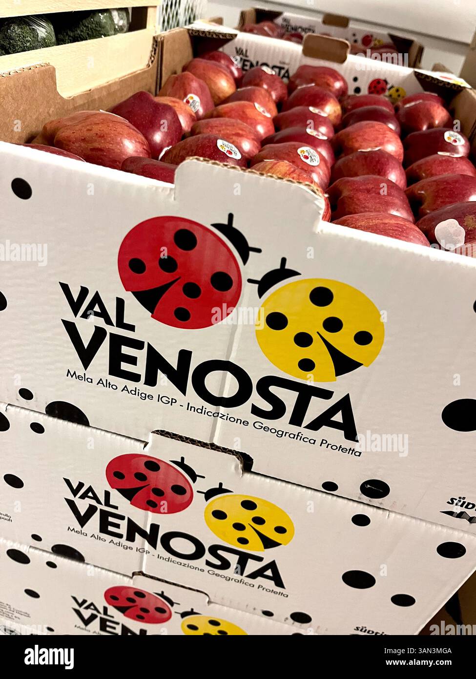 Casse di mele rosse con marchio Val Venosta dall'alto Adige, Italia. Frutta di qualità destinata all’esportazione associata a un’agricoltura di montagna sostenibile - Immagine stock catturata con smartphone