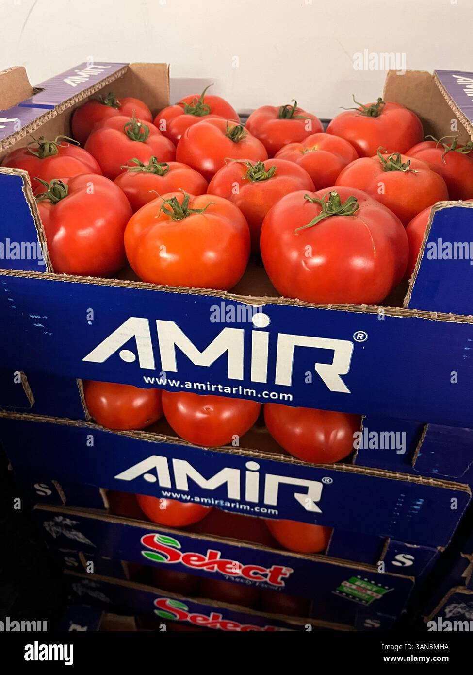 Casse di cartone per pomodori maturi Amir etichettate dal produttore turco Amir Tarım, esposte all’ingrosso o sul mercato. - Immagine stock catturata con smartphone