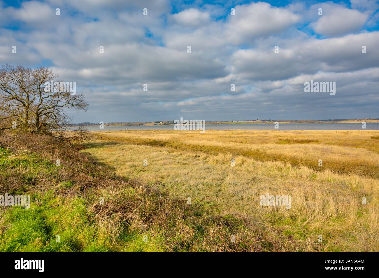 Guardando il fiume Stour verso la Royal Hospital School da Wrabness Essex Foto Stock