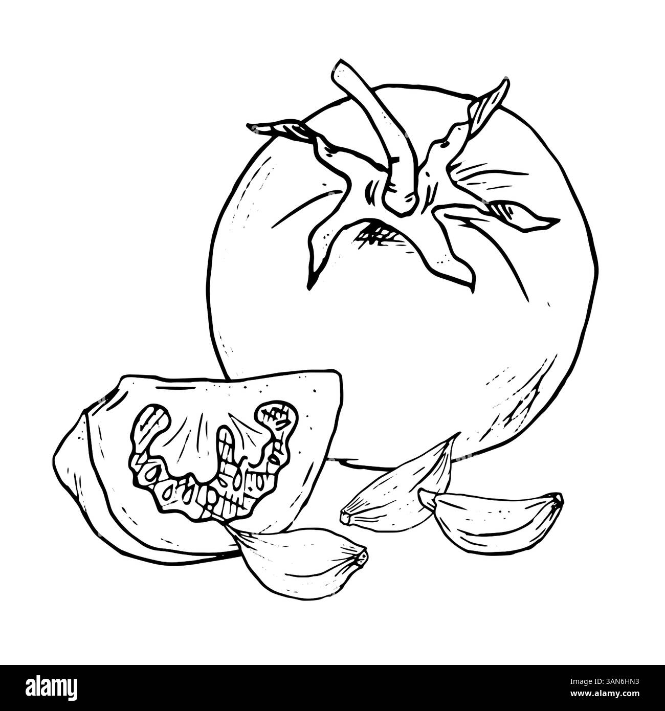 Fetta di pomodoro e pomodoro, schizzo. Illustrazione vettoriale in bianco e nero. Pomodori ciliegini maturi e spicchi d'aglio, su sfondo bianco. Verdure fresche Illustrazione Vettoriale