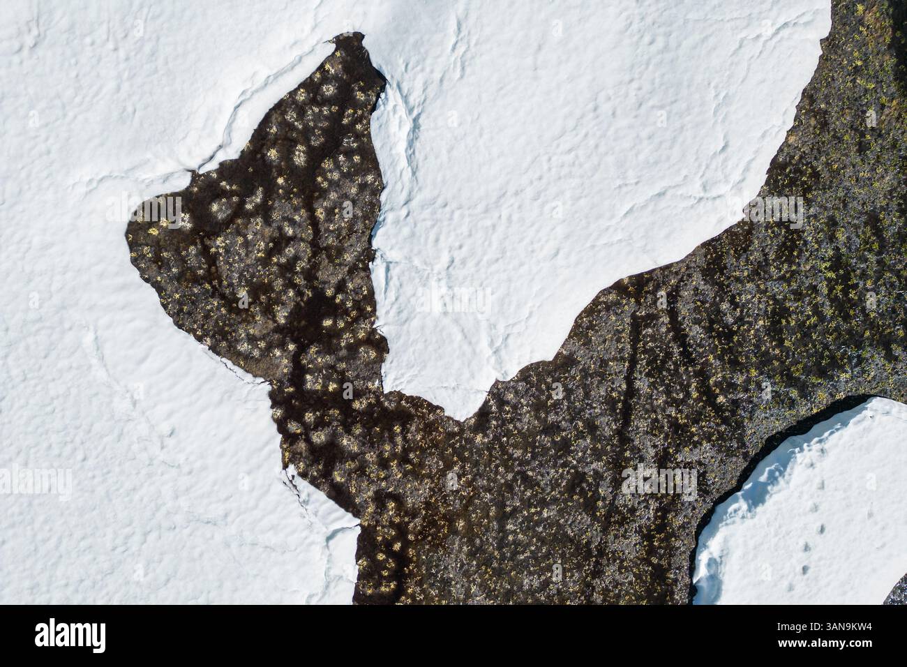 Una vista aerea con drone prospettico di ciaspole che si sciolgono in primavera e fluiscono dall'acqua dalla neve sciolta nel nord della California. Foto Stock