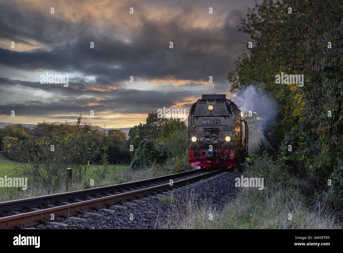 Ferrovia a scartamento ridotto di Harz Selketalbahn tra Gernrode e Quedlinburg Foto Stock