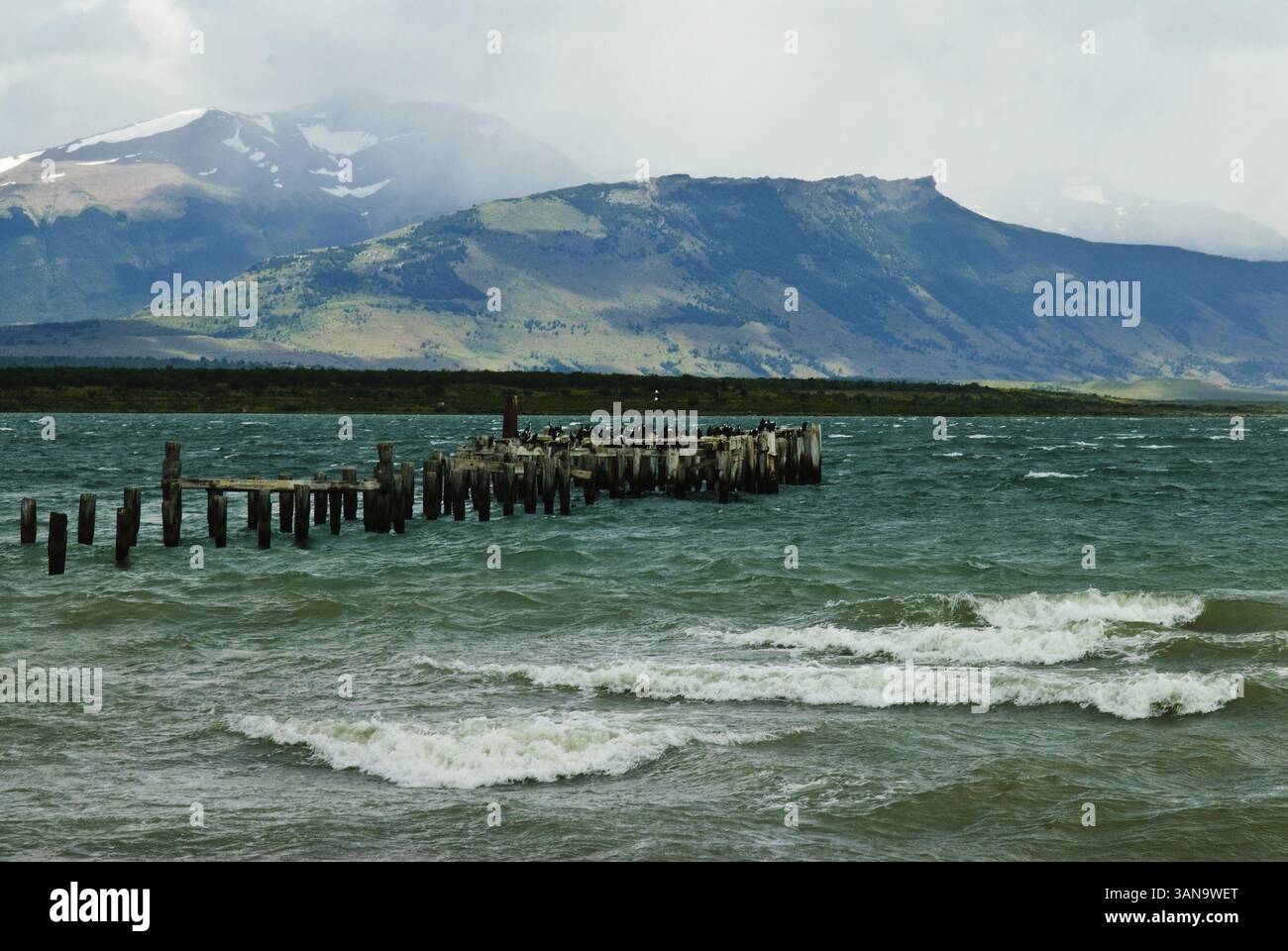 Puerto Natales, Torres del Paine vicino a Puerto Natales, Region de Magallanes y de la Antartica Chilena, Cile, Puerto Natales, Cile, Sud America Foto Stock