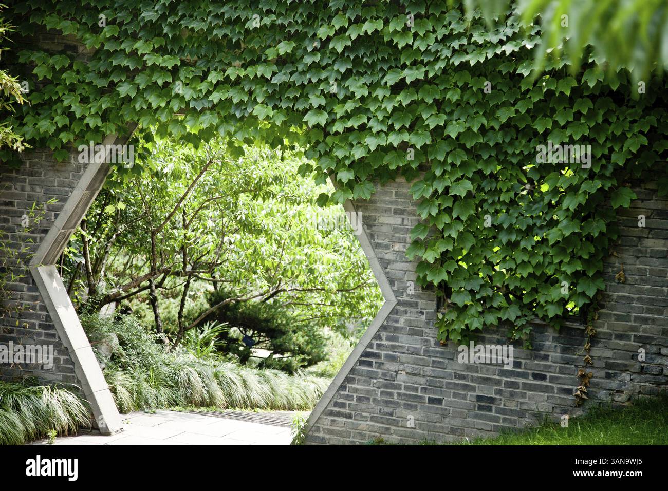 Al giardino segreto Foto Stock
