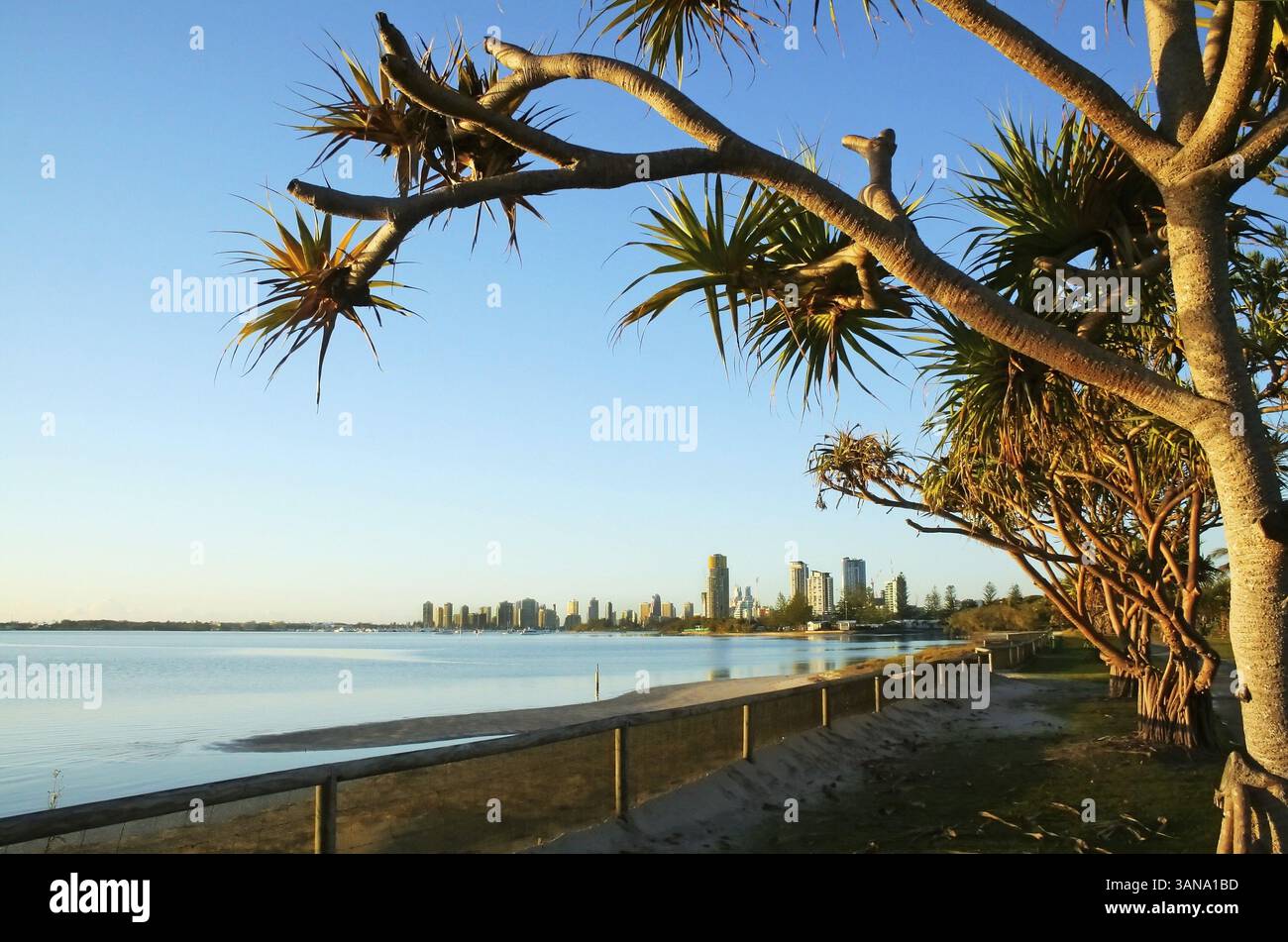 Vista di Southport e Main Beach Australia vista da Labrador Foto Stock
