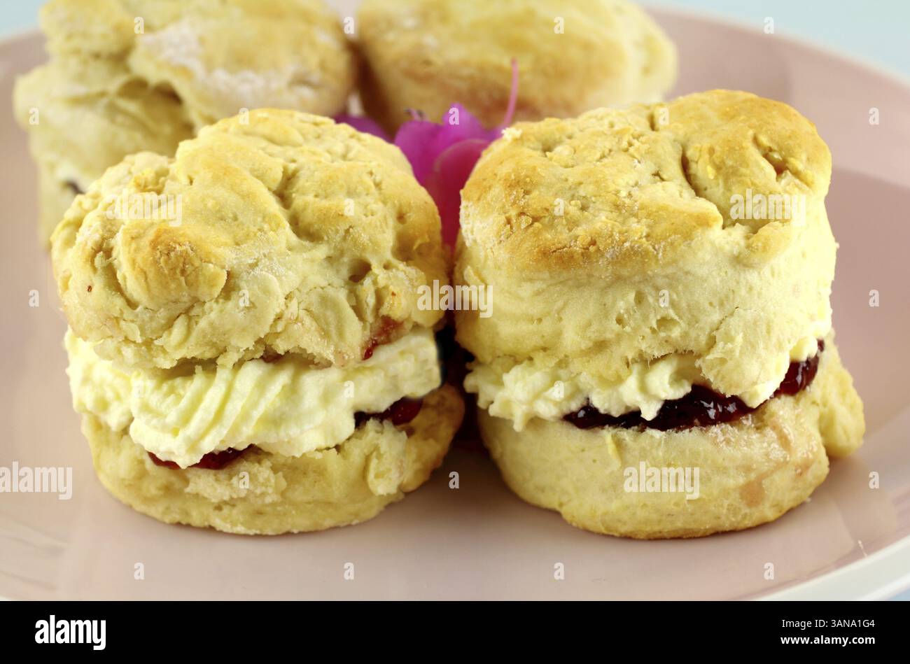 Scones fatti in casa appena sfornati con marmellata e panna su un piatto Foto Stock