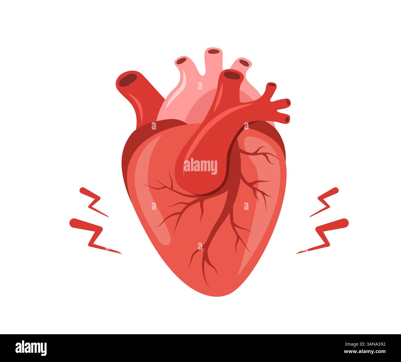 Dolore al cuore. Malattia degli organi interni umani. Diagnosi e trattamento medico del cuore. Illustrazione vettoriale in stile cartone animato piatto Illustrazione Vettoriale