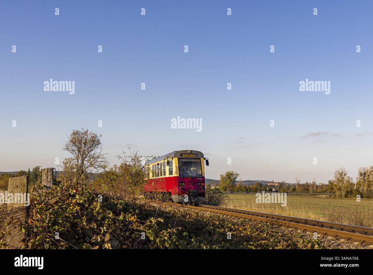 Ferrovia a scartamento ridotto di Harz Selketalbahn tra Gernrode e Quedlinburg Foto Stock