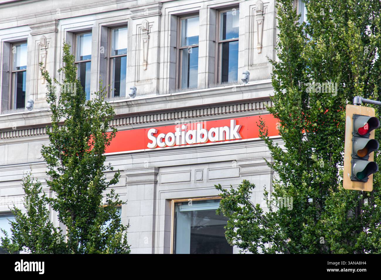 Vista esterna di un cartello di diramazione Scotiabank su un classico edificio in pietra, parzialmente oscurato da alberi e da un semaforo. Foto Stock Vista esterna di un cartello di diramazione Scotiabank su un classico edificio in pietra, parzialmente oscurato da alberi e da un semaforo. Foto Stock