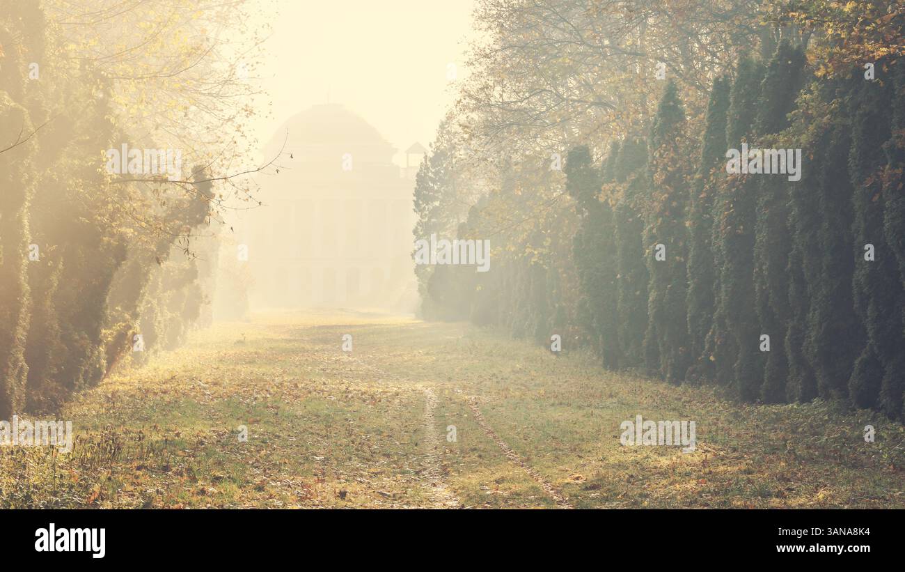 Una nebbiosa mattina d'autunno rivela un sentiero alberato ricoperto di foglie cadute, che conduce a un grande edificio storico in lontananza. Foto Stock