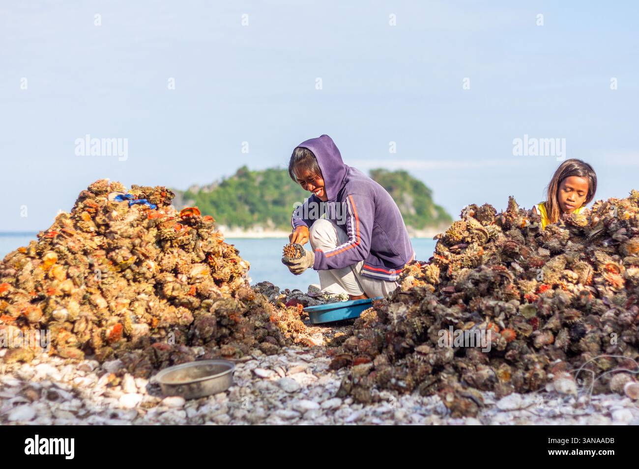I pescatori locali di Iloilo, Filippine, estraggono a mano la carne commestibile dalle conchiglie di capesante, preparando il pescato fresco per la vendita nei mercati vicini Foto Stock