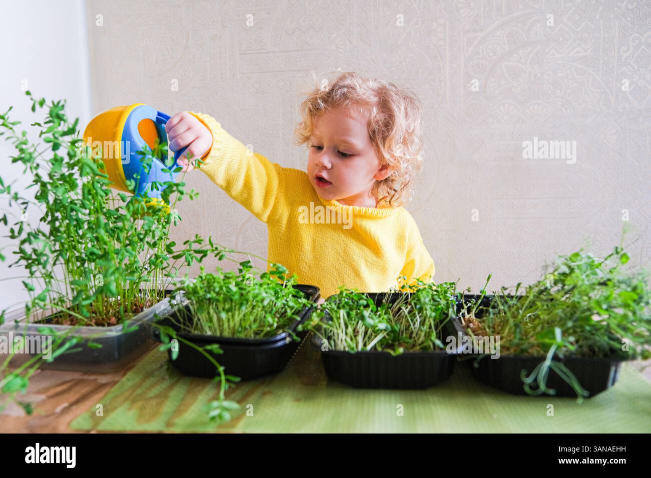Un bambino sta innaffiando le piante in un giardino. Le piante sono in piccoli vasi e il bambino sta usando un annaffiatoio per innaffiarle. La scena è tranquilla Foto Stock