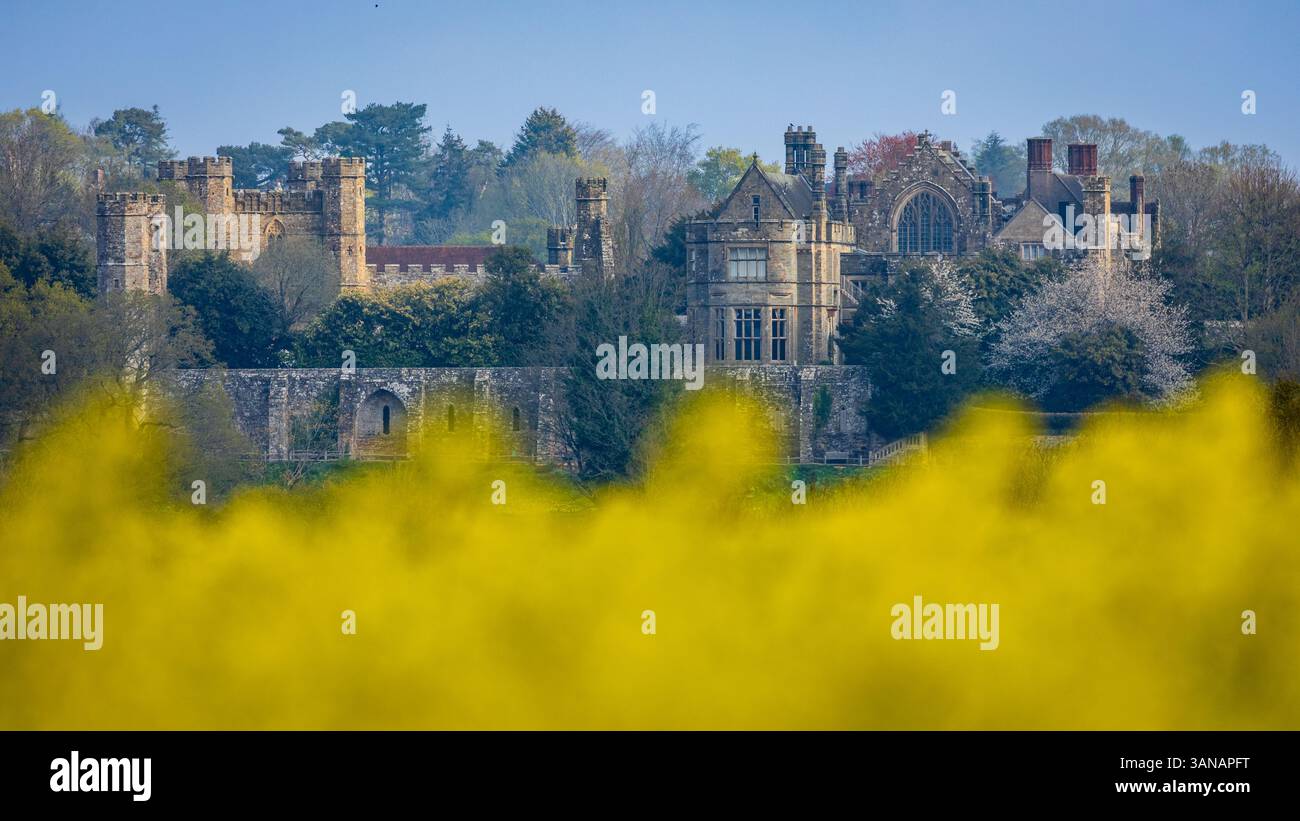 Battle Abbey da aprile campi di colza vicino a Crowhurst sull'alto weald nell'est del Sussex, Inghilterra sud-orientale, Regno Unito Foto Stock