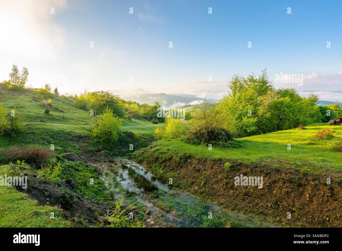 paesaggio montano con nebbia e nuvole. boschi decidui sulla collina erbosa. mattina di sole in primavera Foto Stock