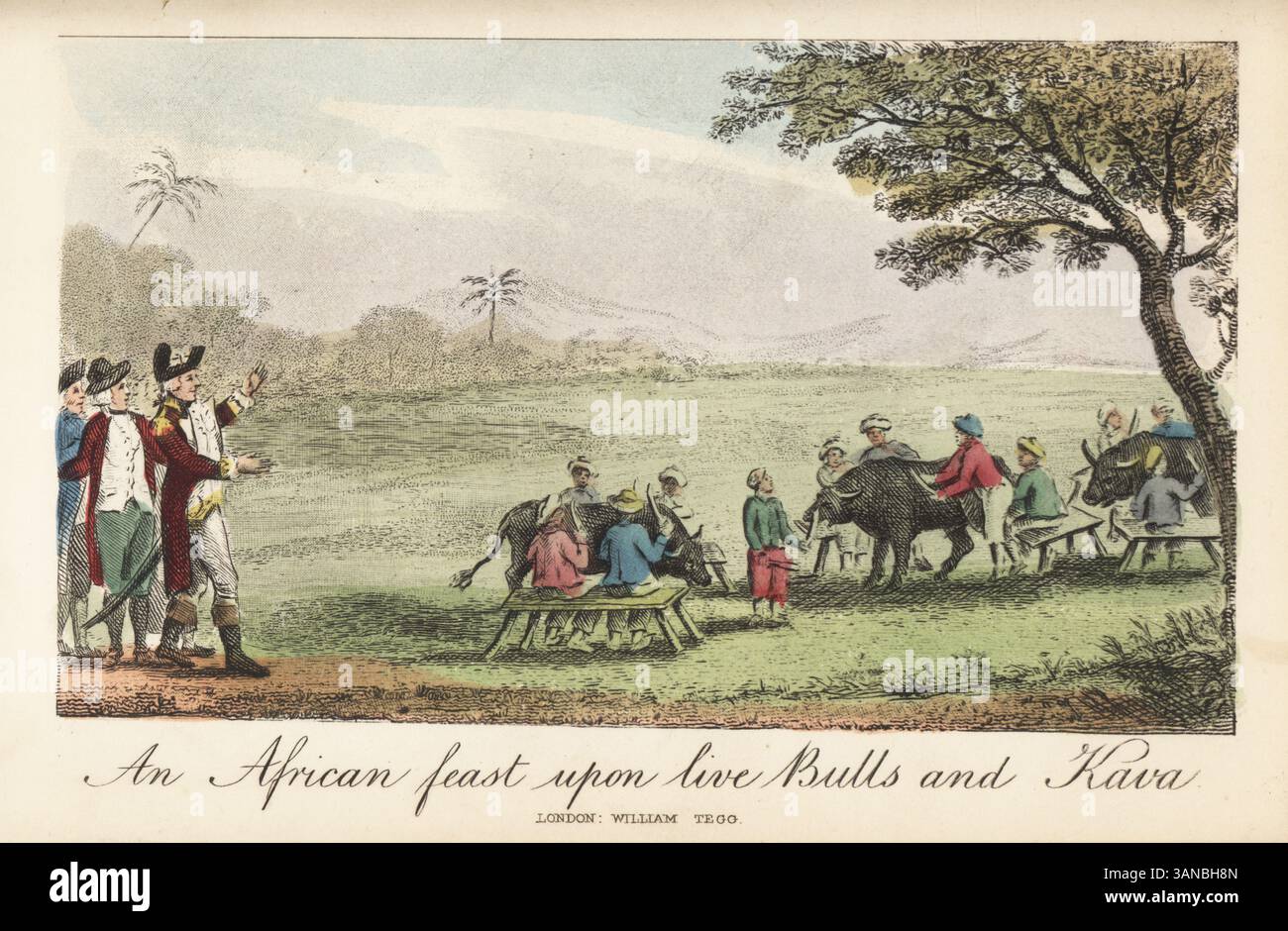 Barone Munchausen a una festa in Africa centrale. Il barone e altri esploratori trovano nativi seduti su panchine che intagliano carne da tori viventi mentre bevono kava alcolico (Piper methysticum). Una festa africana su Bulls e Kava. Incisione a mano dopo un'illustrazione di Rudolf Erich Raspe da i suoi viaggi e avventure sorprendenti del barone Munchausen, William Tegg, Londra, 1877. Foto Stock