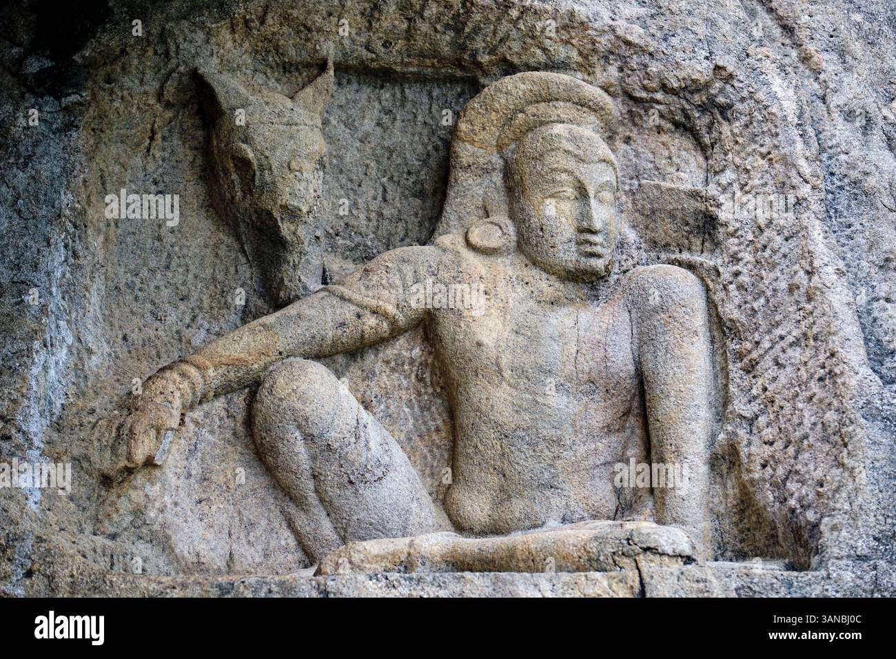 Sri Lanka, provincia centro-settentrionale, sito di Anuradhapura, Isurumuniya Vihara, tempio di roccia, bassorilievo di un guerriero riposante e del suo cavallo Foto Stock
