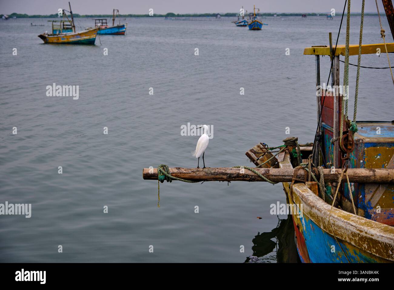 Sri Lanka, Provincia del Nord, Jaffna, quartiere cattolico di pesca, peschereccio Foto Stock