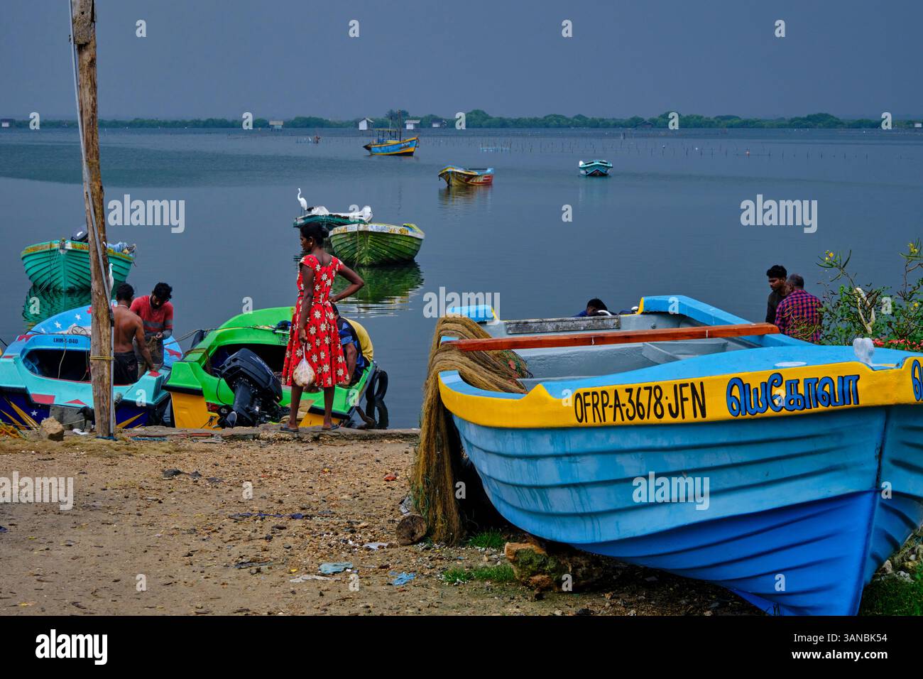 Sri Lanka, Provincia del Nord, Jaffna, quartiere cattolico di pesca, ritorno dalla pesca Foto Stock