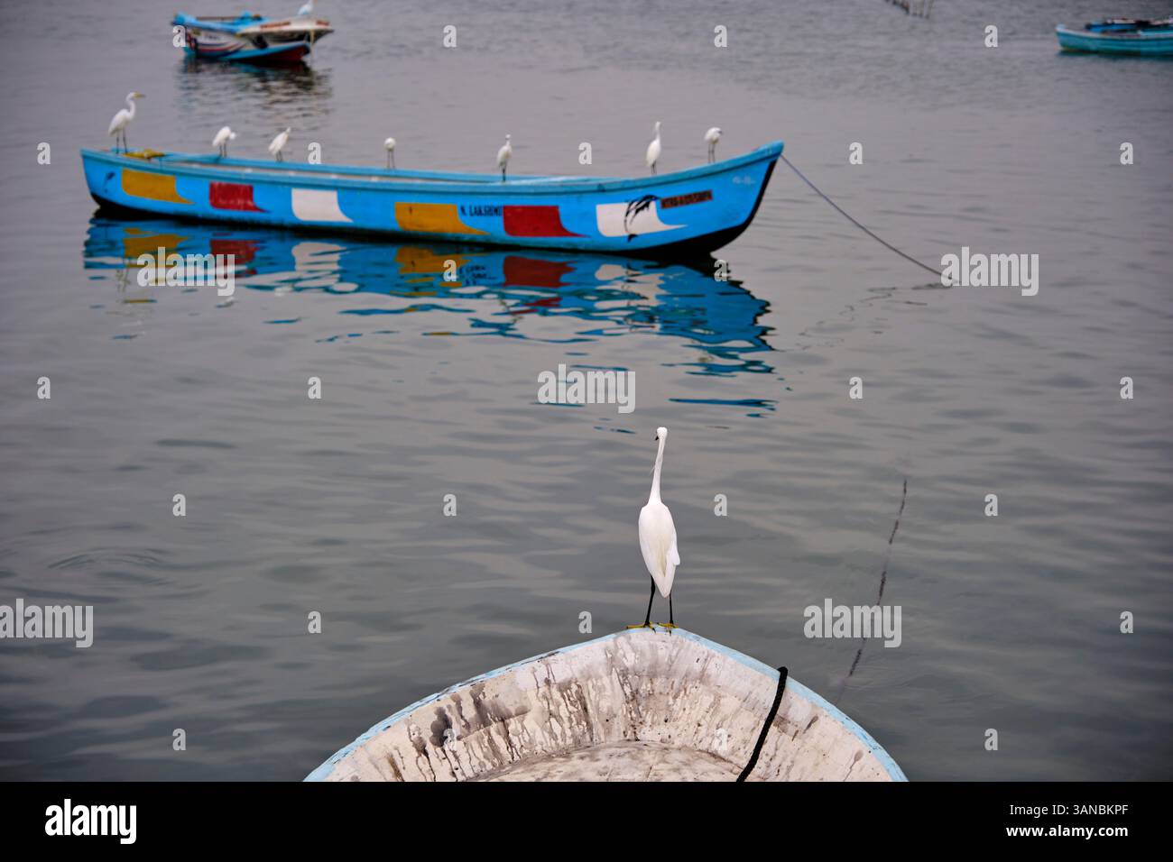 Sri Lanka, Provincia del Nord, Jaffna, quartiere cattolico di pesca, peschereccio Foto Stock