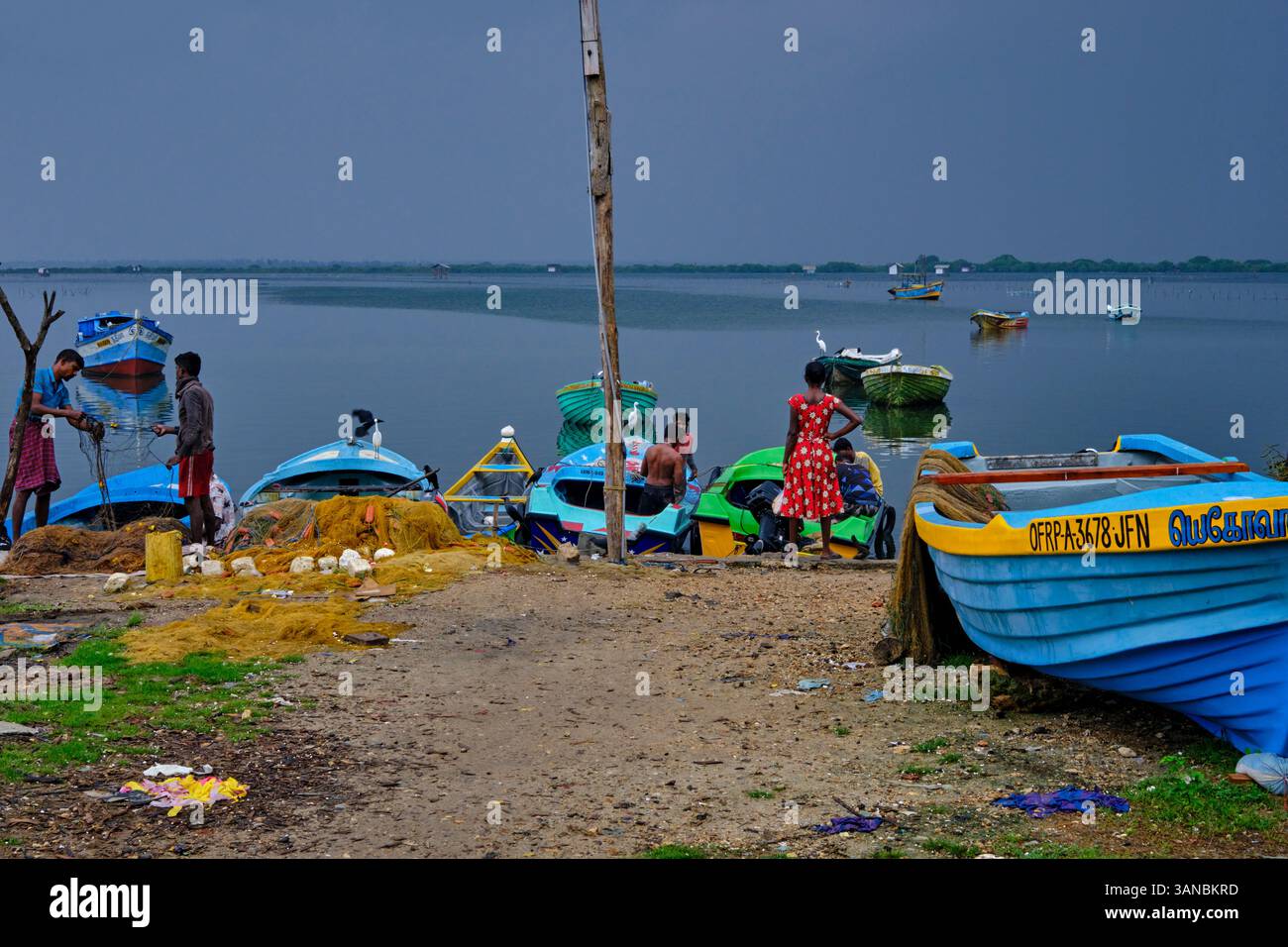 Sri Lanka, Provincia del Nord, Jaffna, quartiere cattolico di pesca, ritorno dalla pesca Foto Stock