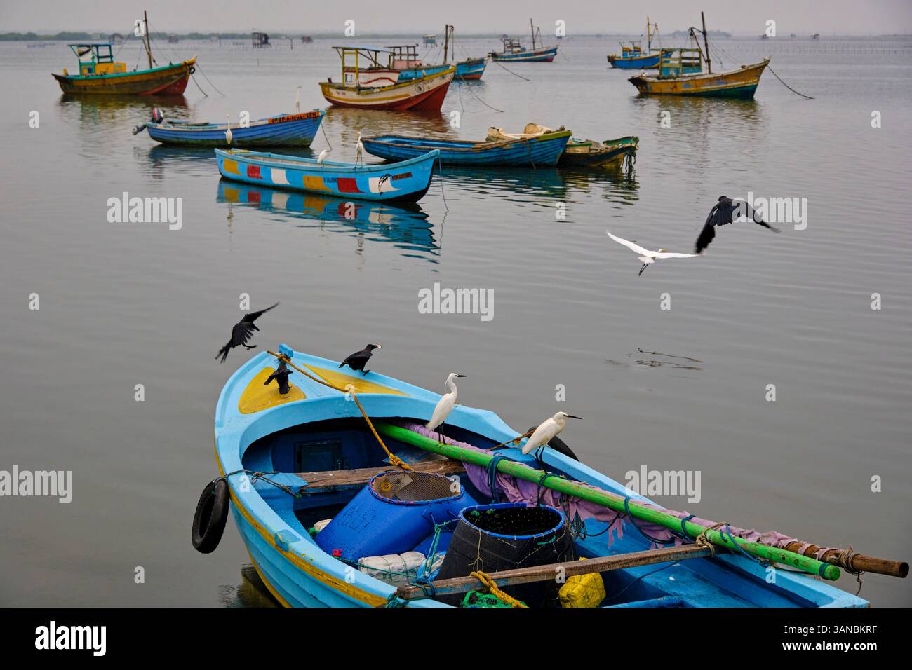 Sri Lanka, Provincia del Nord, Jaffna, quartiere cattolico di pesca, peschereccio Foto Stock