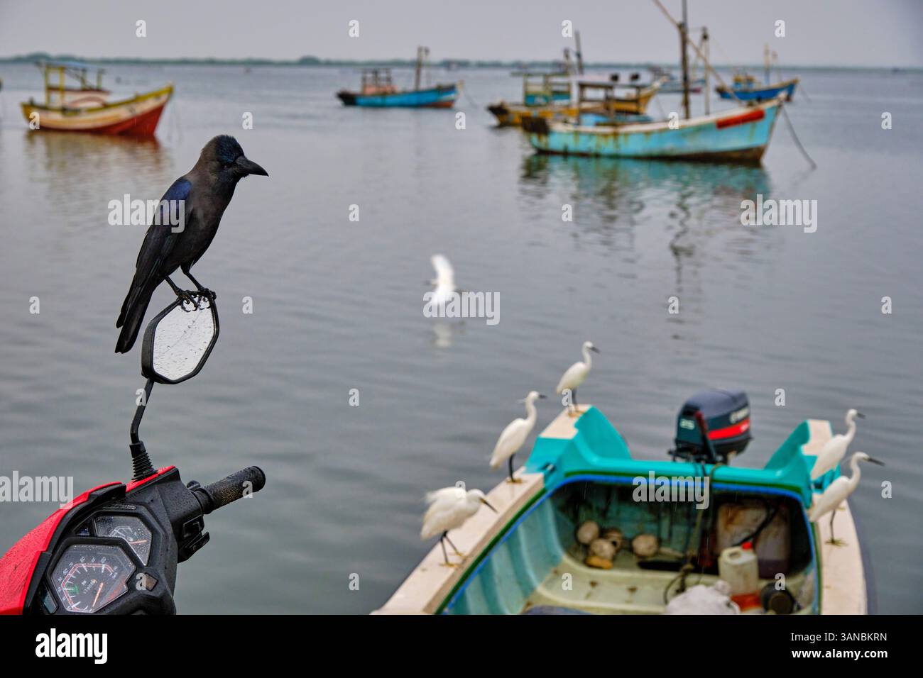 Sri Lanka, Provincia del Nord, Jaffna, quartiere cattolico di pesca, peschereccio Foto Stock