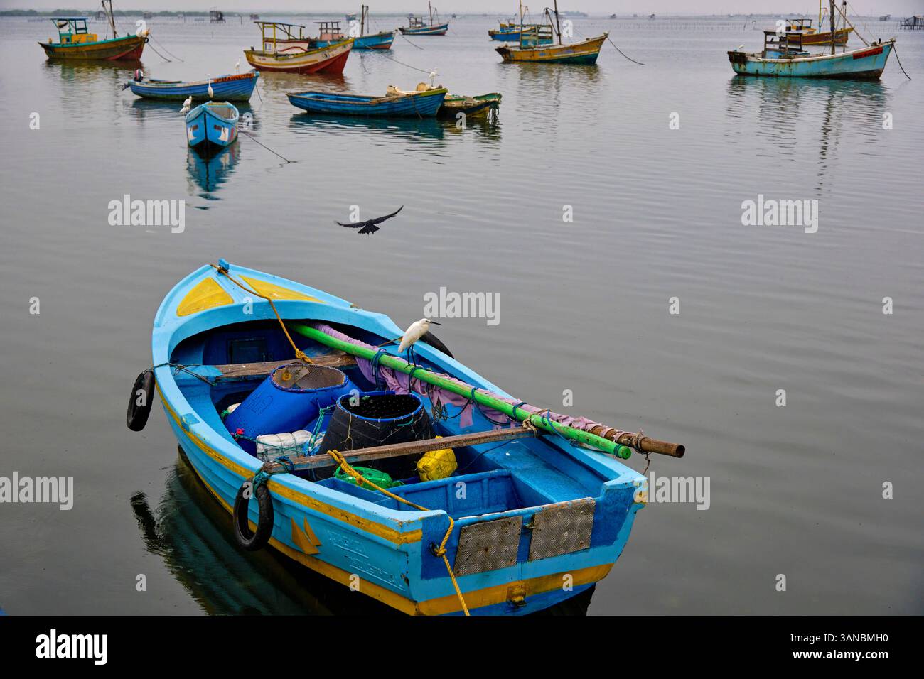 Sri Lanka, Provincia del Nord, Jaffna, quartiere cattolico di pesca, peschereccio Foto Stock