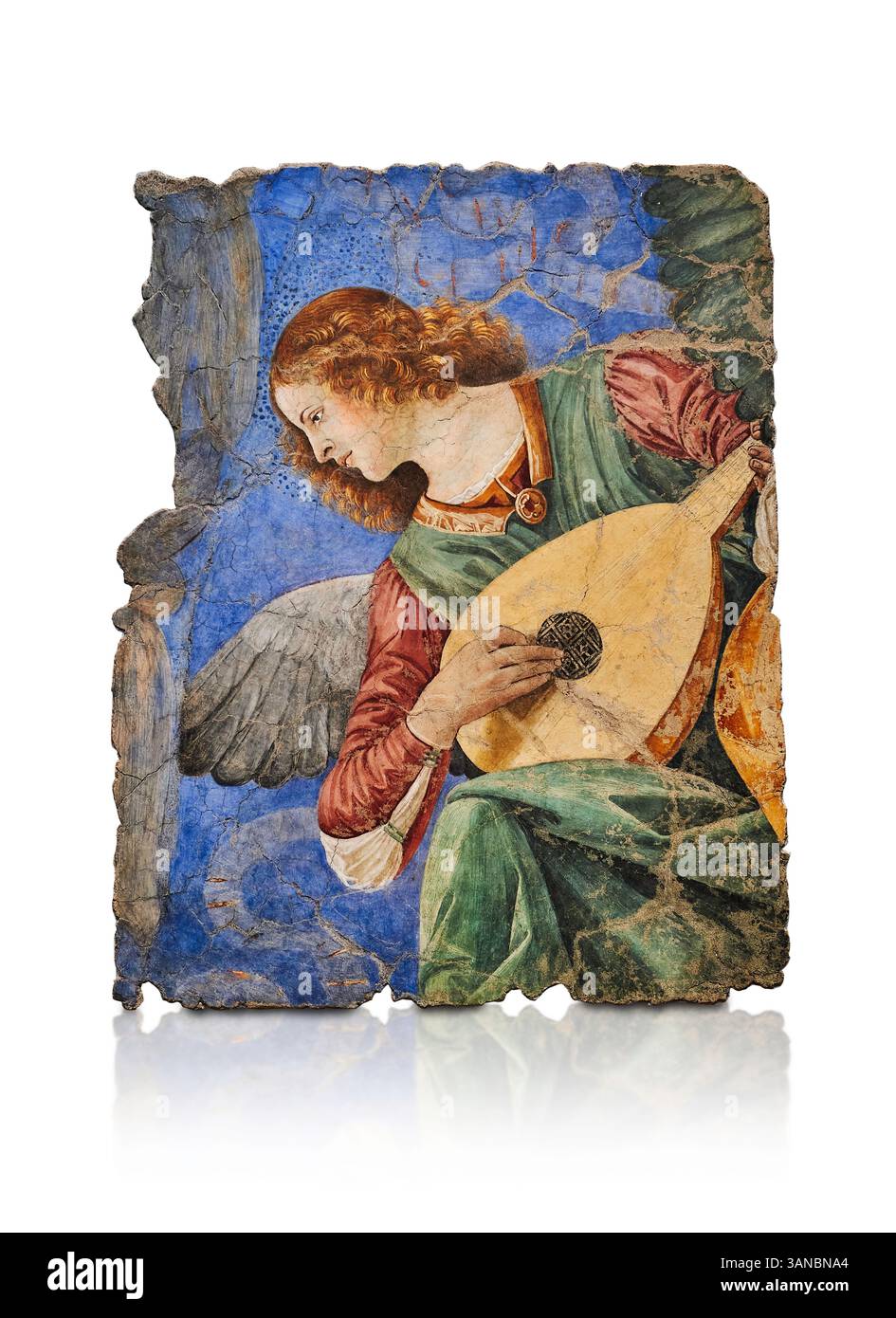Frammento di un affresco rinascimentale sul soffitto dell'abside che raffigura un giovane angelo angelico che gioca un bottino rinascimentale. Rimosso dalla Basilica Santi Apo Foto Stock