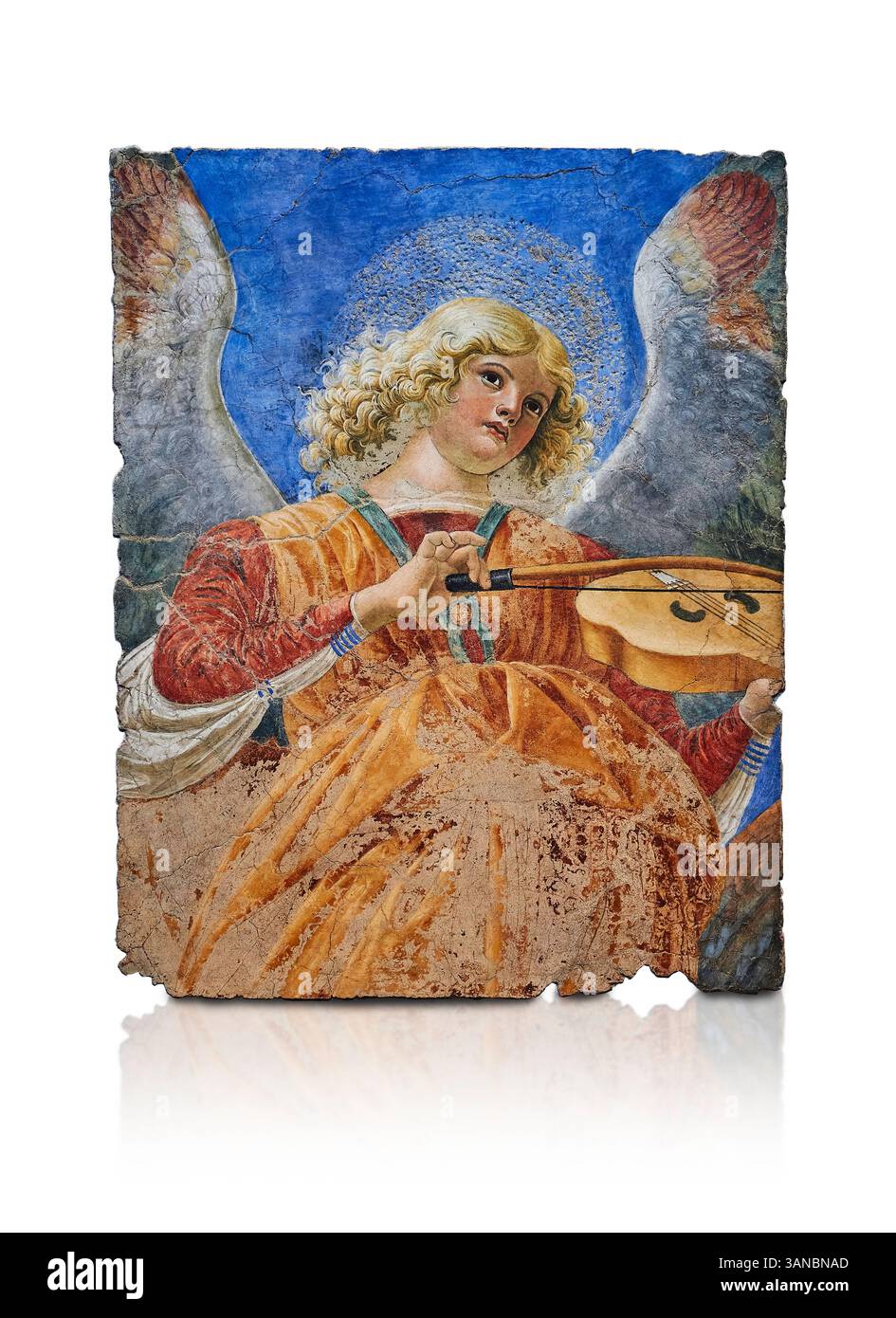 Frammento di un affresco rinascimentale sul soffitto dell'abside raffigurante una giovane angelo angelico che suona un violino rinascimentale. Rimosso dalla Basilica Santi AP Foto Stock