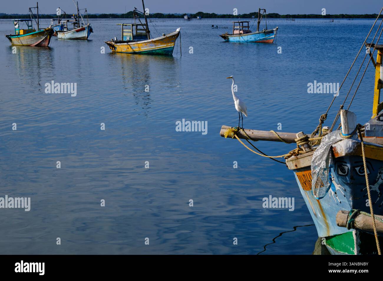 Sri Lanka, Provincia del Nord, Jaffna, quartiere cattolico di pesca, peschereccio Foto Stock