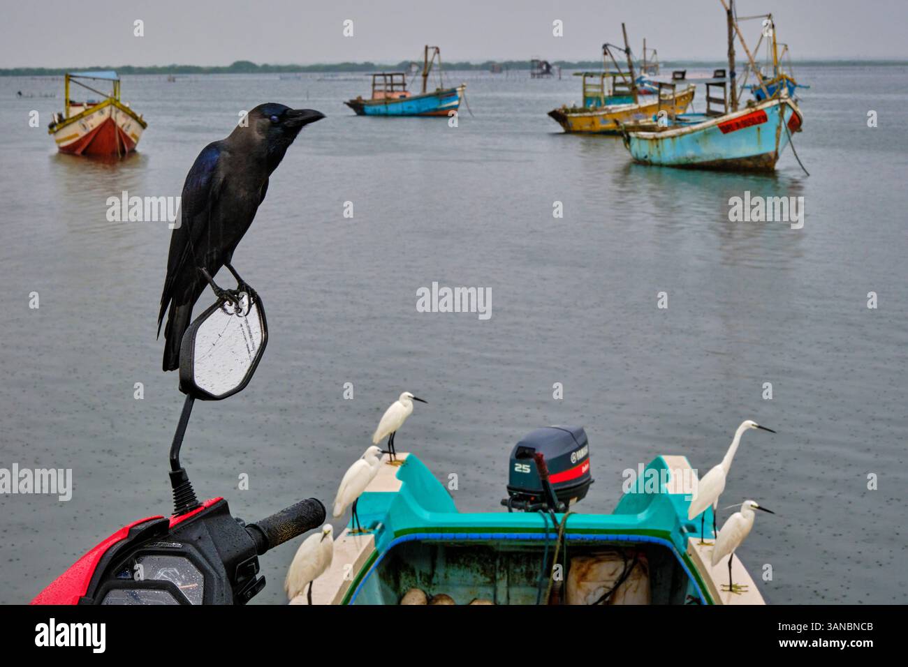 Sri Lanka, Provincia del Nord, Jaffna, quartiere cattolico di pesca, peschereccio Foto Stock