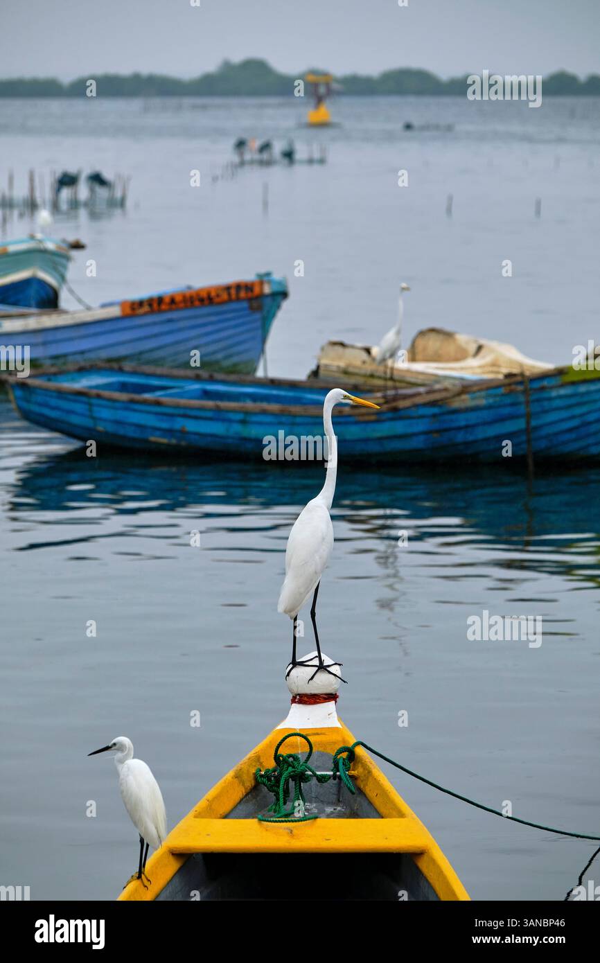 Sri Lanka, Provincia del Nord, Jaffna, quartiere cattolico di pesca, peschereccio Foto Stock