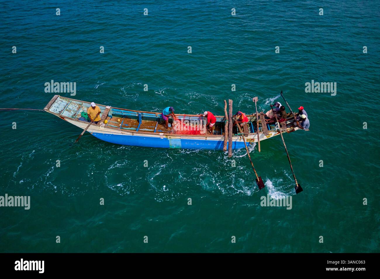 Sri Lanka, Provincia Occidentale, Beruwala, pesca con ciancioli, messa in rete Foto Stock