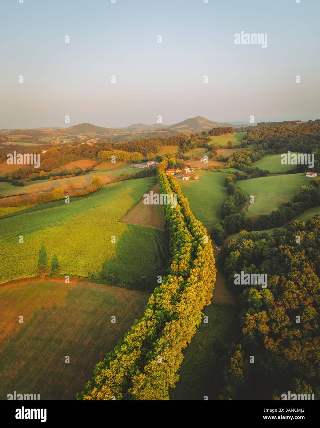 Vista aerea di una strada con alberi circostanti al tramonto, vicino a Hasparren, Paesi Baschi francesi, Nouvelle Aquitaine, Francia. Foto Stock