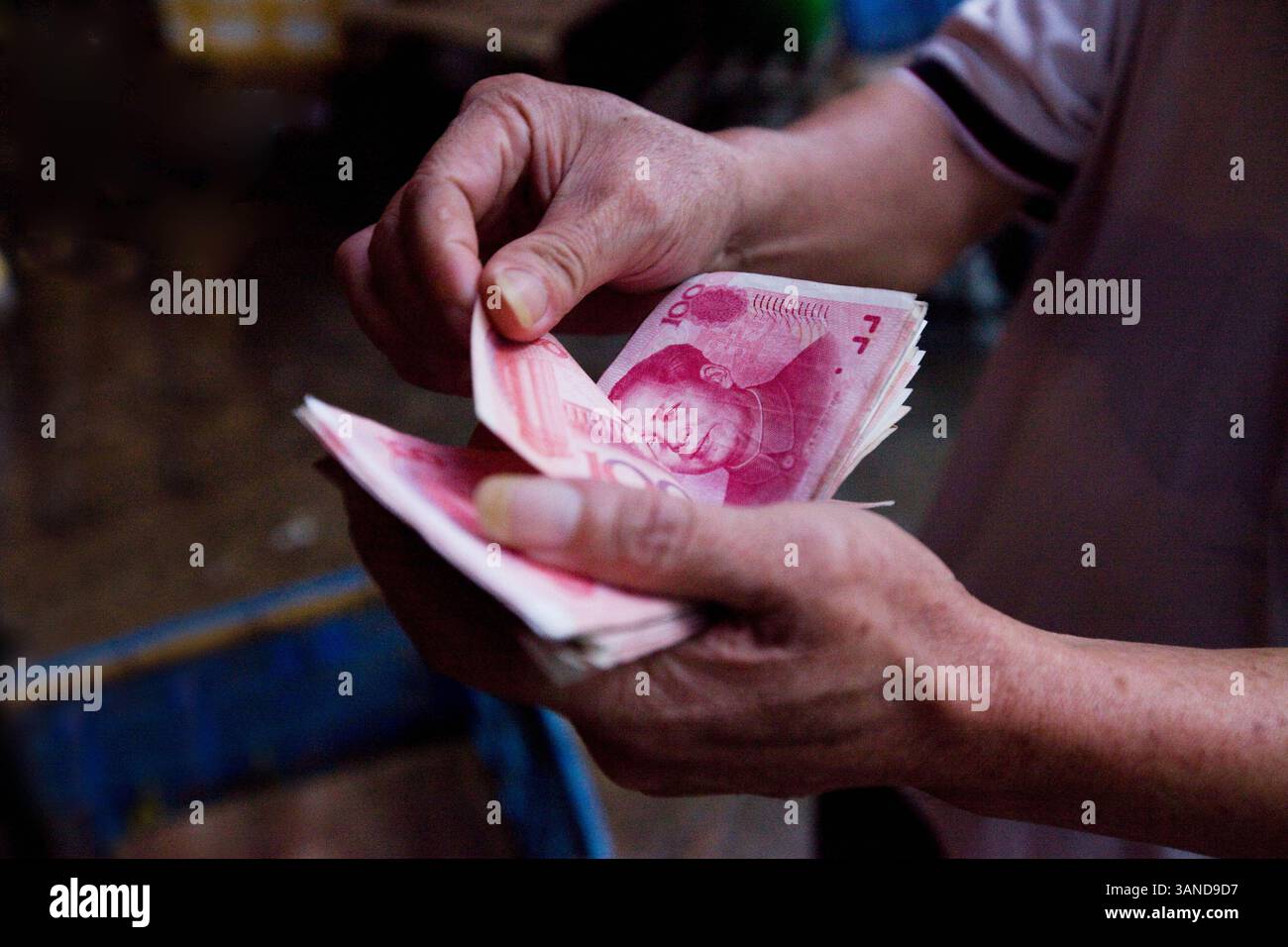 2 ottobre 2009 - Guangzhou, Guandong, Cina - il cliente conta i soldi al mercato Qingping. Guangzhou è la capitale della provincia più ricca e potente del sud della Cina, dove la tradizione di mangiare la fauna selvatica risale a secoli fa. Il commercio illegale di fauna selvatica vale circa 20 miliardi (USD). L'appetito della Cina per la fauna selvatica in via di estinzione e la pratica di 2.000 anni della medicina tradizionale cinese sono il principale catalizzatore dietro il terzo più grande commercio illecito del mondo. La medicina tradizionale cinese (TCM) è un sistema sanitario che tratta i pazienti con rimedi vegetali, animali e minerali. Con Foto Stock