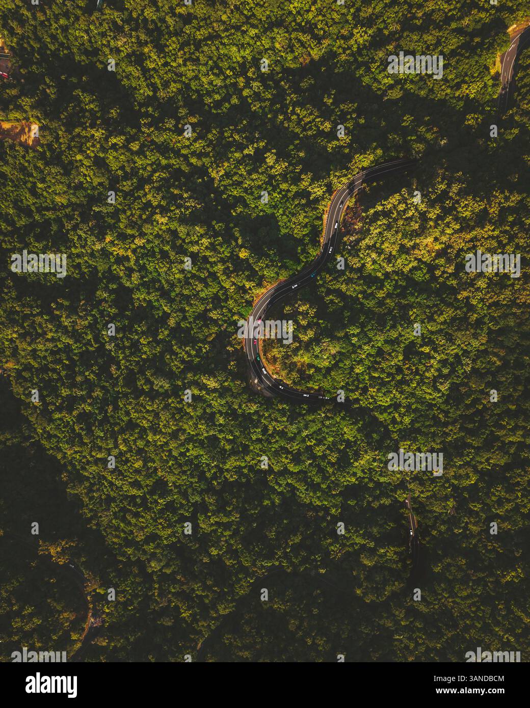Vista aerea di una strada di montagna nella foresta di Daintree vicino alla città di Cairns, Queensland, Australia. Foto Stock