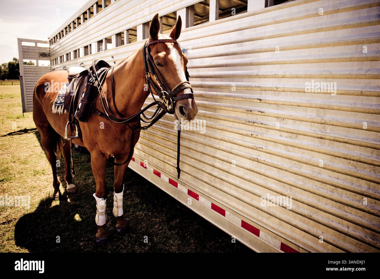 3 aprile 2010 - Wellington, Florida, Stati Uniti - lo sport tradizionale del polo affronta un nuovo campo di giocatori il 3 aprile 2010, con l'unica Gay Polo League al mondo che ospita il primo torneo annuale di polo Gay al Grand Champions Polo Club di Wellington, Florida. (Immagine di credito: © Michele Sandberg/ZUMA Press) Foto Stock