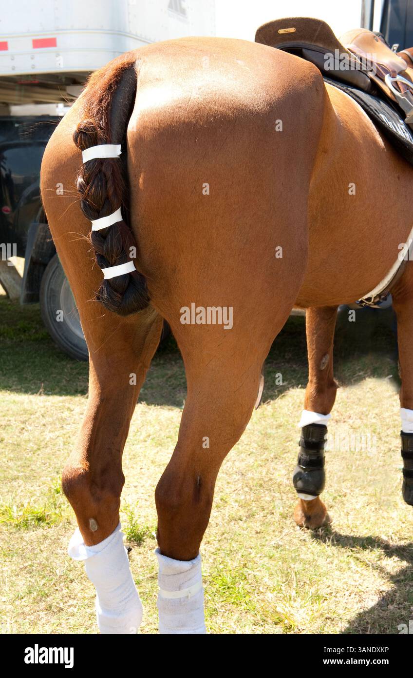 3 aprile 2010 - Wellington, Florida, Stati Uniti - lo sport tradizionale del polo affronta un nuovo campo di giocatori il 3 aprile 2010, con l'unica Gay Polo League al mondo che ospita il primo torneo annuale di polo Gay al Grand Champions Polo Club di Wellington, Florida. (Immagine di credito: © Michele Sandberg/ZUMA Press) Foto Stock
