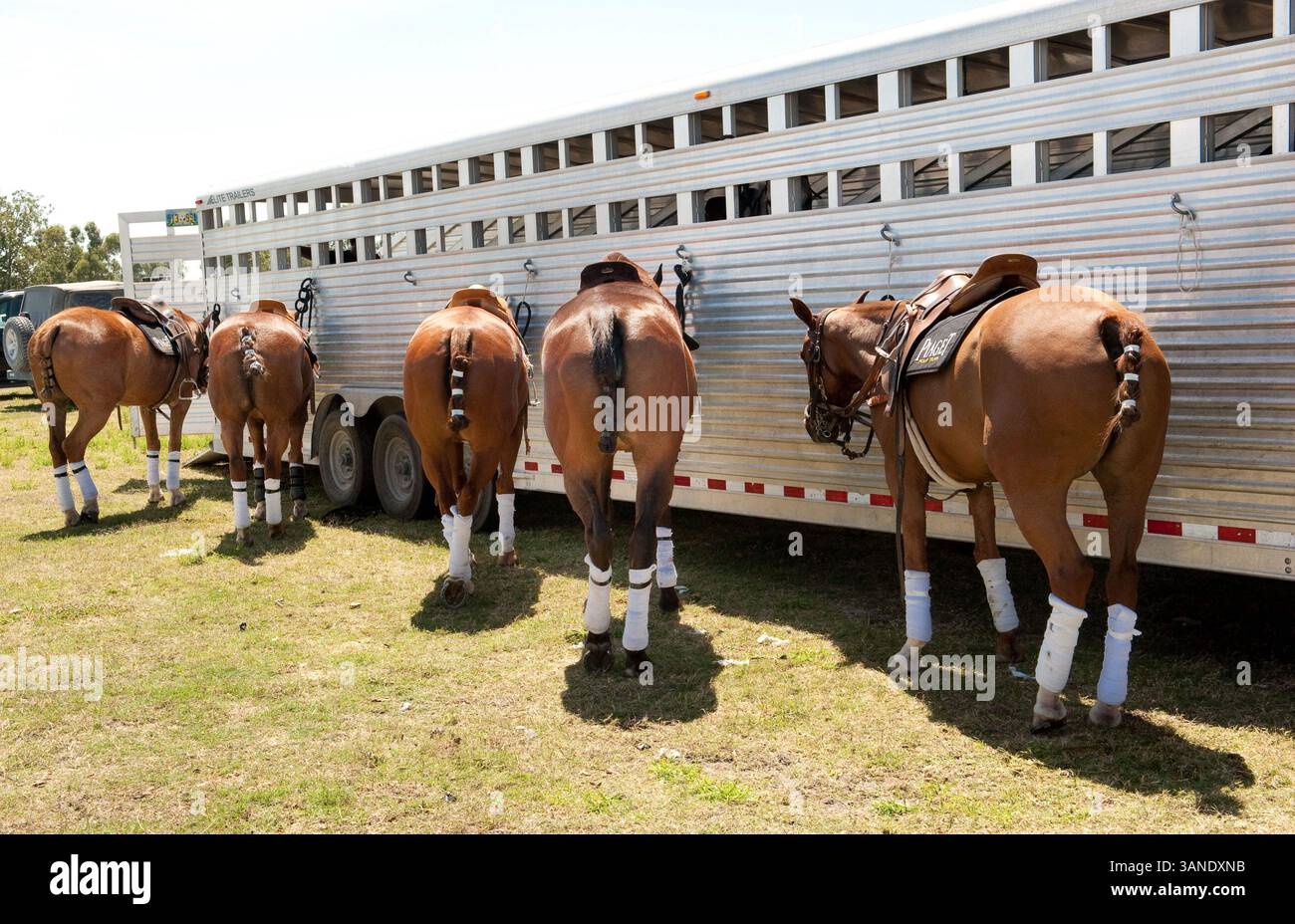 3 aprile 2010 - Wellington, Florida, Stati Uniti - lo sport tradizionale del polo affronta un nuovo campo di giocatori il 3 aprile 2010, con l'unica Gay Polo League al mondo che ospita il primo torneo annuale di polo Gay al Grand Champions Polo Club di Wellington, Florida. (Immagine di credito: © Michele Sandberg/ZUMA Press) Foto Stock