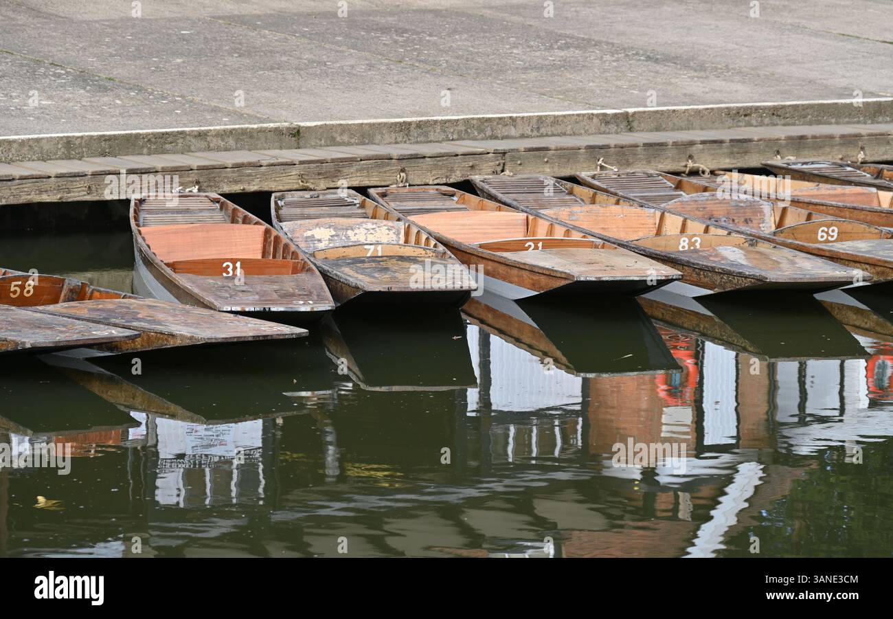 Cherwel Punting Company Boathouse e punt sul fiume Cherwell, Oxford Foto Stock