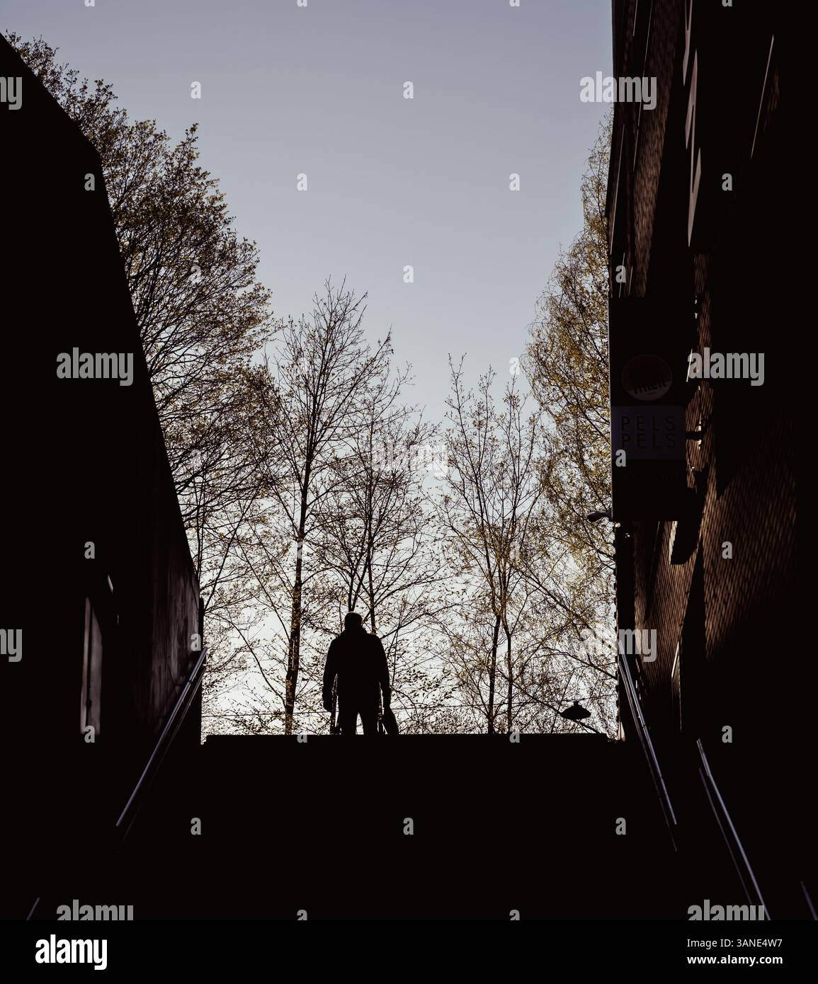 Pomeriggio di primavera nel quartiere Grünerløkka di Oslo, con gente che si gode di parchi, caffetterie e l'atmosfera rilassata della città. Foto Stock