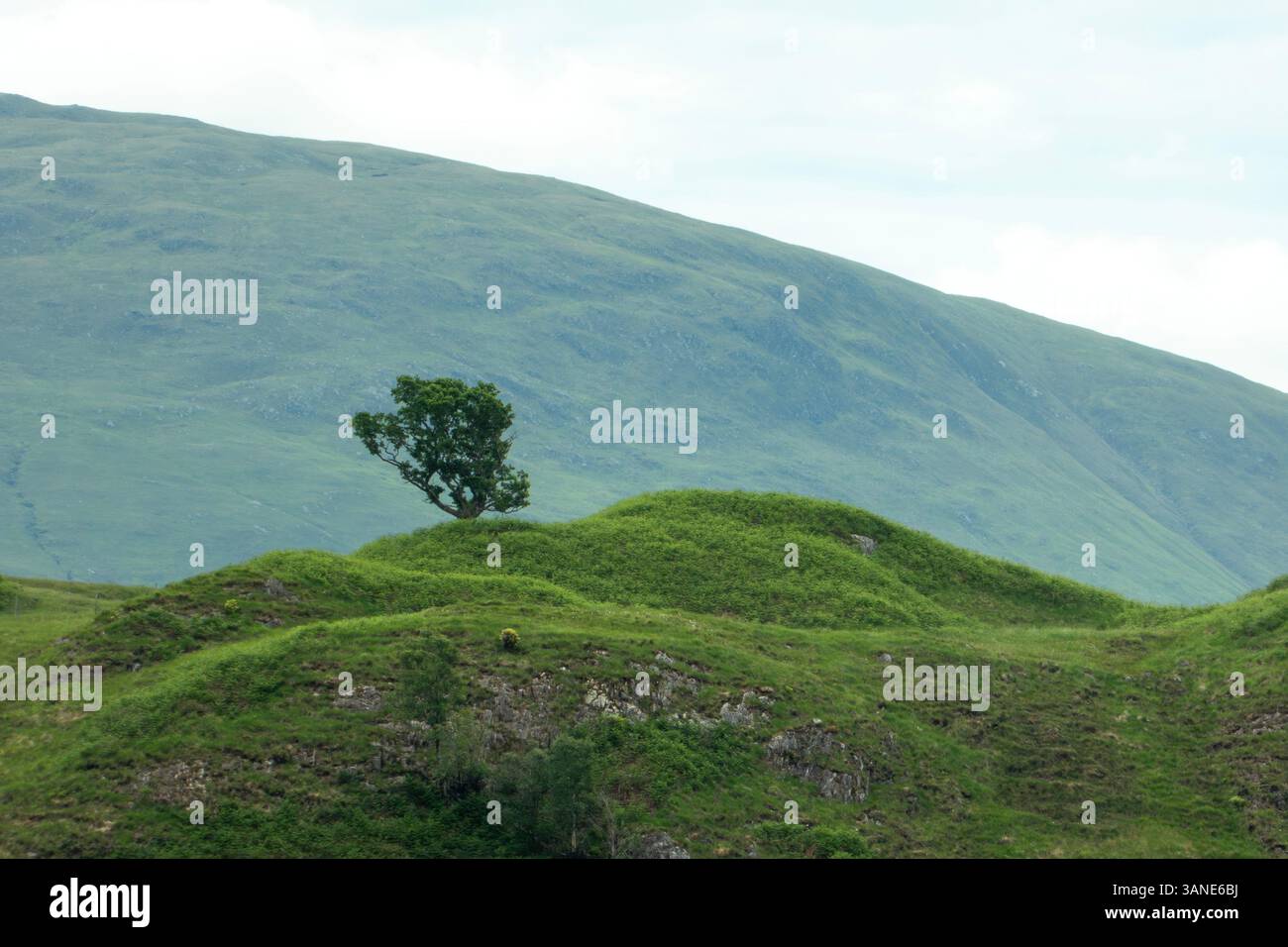 Scozia, colline, alberi, ruscello, lago, cieli spettacolari, nuvole, atmosfera Foto Stock