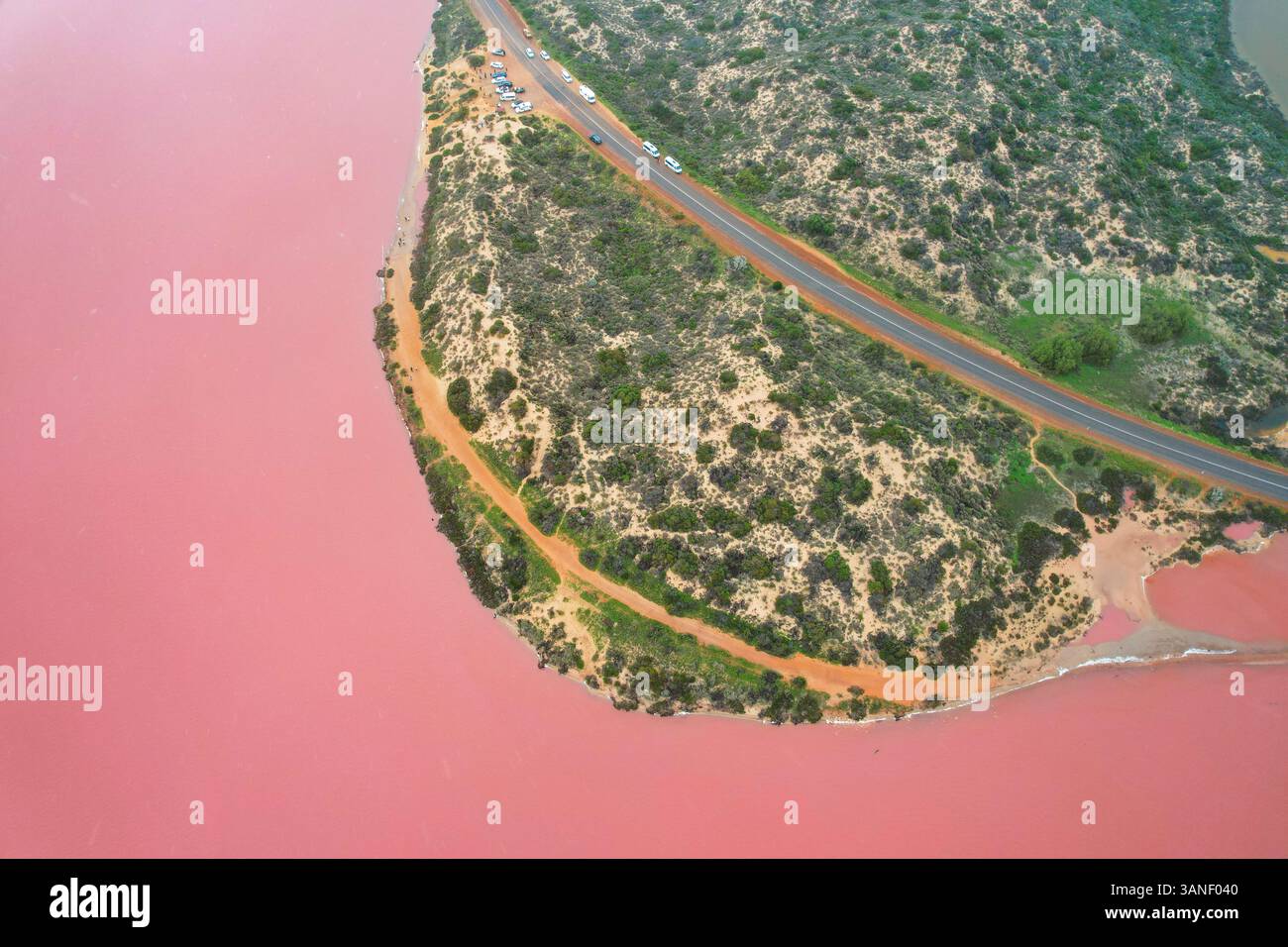 Vista aerea del lago rosa della laguna di hutt con acqua rosa vibrante e costa panoramica, regione del Midwest, Australia. Foto Stock