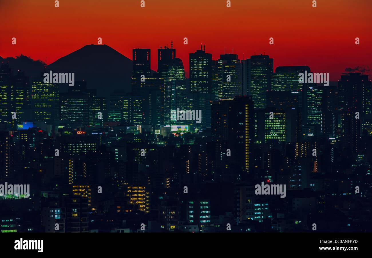 Vista dello skyline di Tokyo con il Monte Fuji sul retro durante il tramonto, Shinkjuku, Tokyo, Giappone. Foto Stock